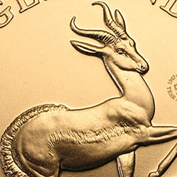 La Krugerrand existe depuis 50 ans