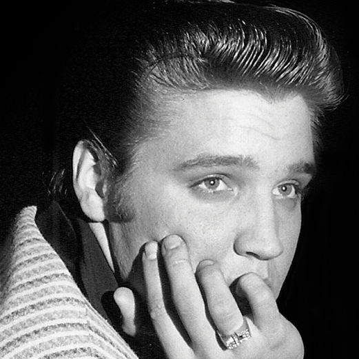 Elvis Presley, le Roi du Rock and Roll