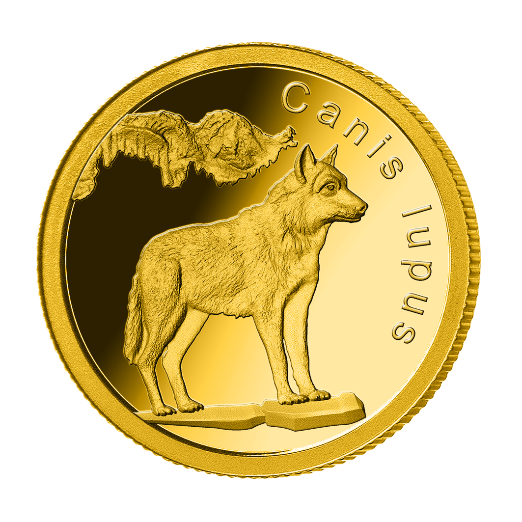 Couronnant les merveilles du monde animal en or pur - le loup gris Couronnant les merveilles du monde animal en or pur - le loup gris