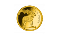 Couronnant les merveilles du monde animal en or pur - le loup gris