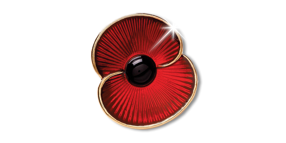 coquelicot a epingler coquelicot a epingler