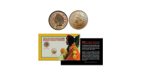 L'ensemble Indian Head Pennies du 19eme et 20eme siècle