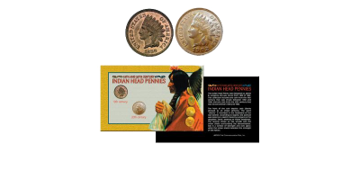 L'ensemble Indian Head Pennies du 19eme et 20eme siècle 