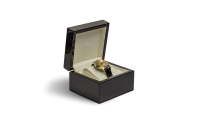 Acheter des pièces en ligne - Bijoux - Montre Homme Aigle Or 1/10 Oz box