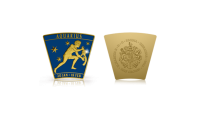 La belle constellation du Verseau telle qu'elle est également représentée sur la célèbre horloge de la place Saint-Marc à Venise.