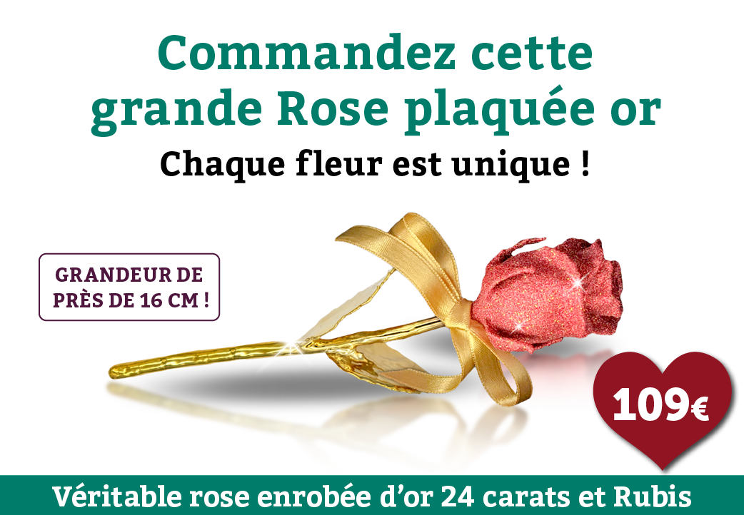Véritable rose enrobée d’or 24 carats & Rubis ultrafin